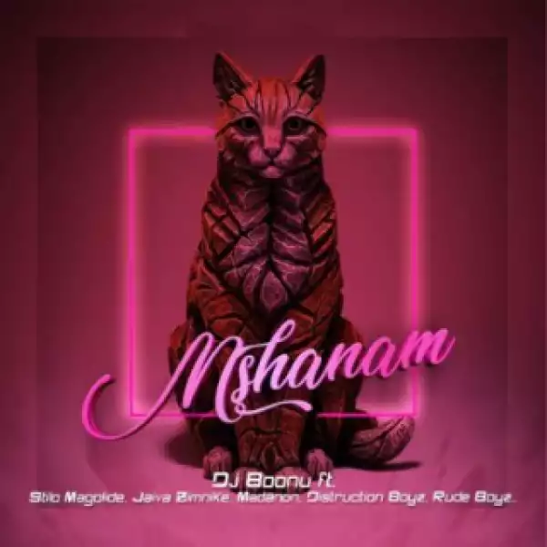 DJ Boonu - Mshanam ft. Distruction Boyz, Madanon, Rude Boyz, Stilo Magolide & Jaiva Zimnike
